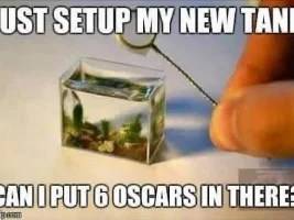 World's smallest planted aquarium