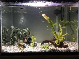 70 Litre stocking (again)