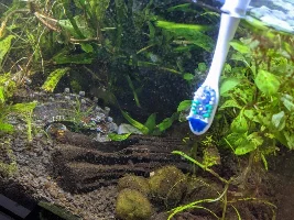 Interesting colors and debris/algae in planted tank