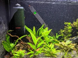A place 4 my questions & ponderings as I build a 34 Gallons (127L) tank