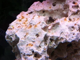 Rusty Coloured Ocean Rock
