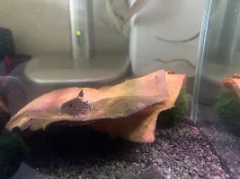 40L/10g stocking suggestions??
