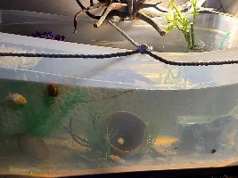 went plant collecting...