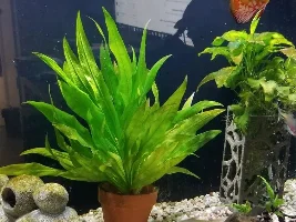 Sixty Gallon Journal
