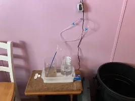 Baby Brine Shrimp Hatchery
