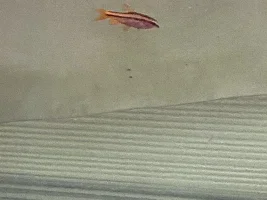 They’re Just Babies!