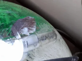 First time fish, something went wrong