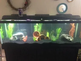 My Setups