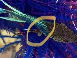 What could this growth be - and best action?