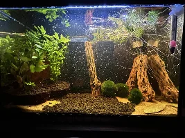Another Small Setup