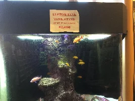 Your LFS nearby lets show em all