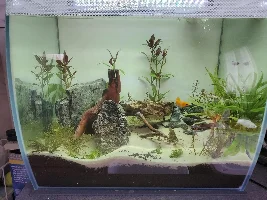 Fluval Flex 15 Gal. - First Ever Fish Tank!