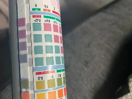 Stocking a 30 gallon