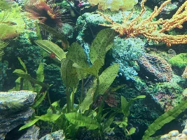 Will I be overstocked?