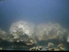 My Nano Reef Set-up/diary (upgraded 45g) Step-by-step