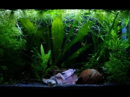 Finally tearing down ugly 57g, building new 36g to replace it!