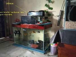 My extreme DIY journey from rookie to almost pro. Low Iron glass aquarium/sump. Anoxic Filtration System. Dr. Kevin Novak.