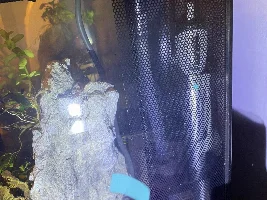 Fluval flex water problem