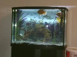 One if our 75 gallon....and a 36 gallon bow....