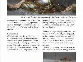 Publication