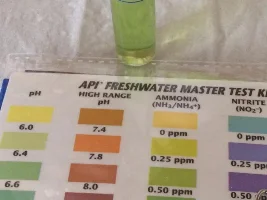 Is My Api Test Busted Or What Is Going On With My Water?