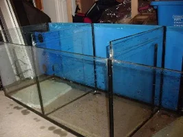 Josh's Marine Breeding Tanks