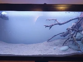 Fluval canister filter noise