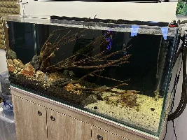 Journey with my 300+ LT Tank