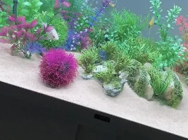 Confused by cycle