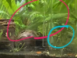 Pruning swords question