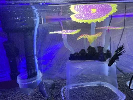 How to get rid of fine particles ?