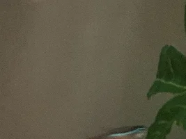 Is This Septicemia?