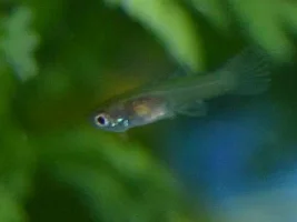 Look Who Moved In!