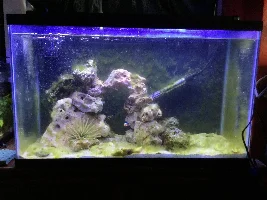 29g Saltwater Nano Tank