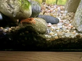 morning buddy…