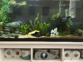 55 Gallon Rebuild