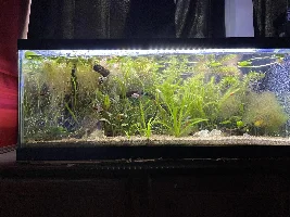 looking for 4 more species of plants :)