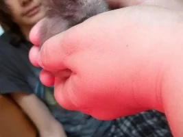 I am getting baby chickens!