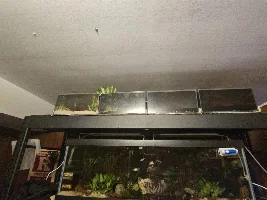 New 4 tanks