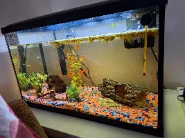 Advice please on tanks