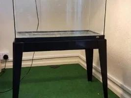Juwel 24X12X16 Tank, Willing To Swap For Adult Pair (Breeding) Angel