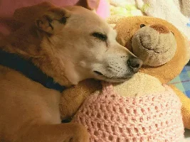 VOTE NOW - September 2023 Pet of the Month Contest
