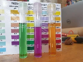 Please explain what went on in my fish less cycle situation, and what now there's nitrate?