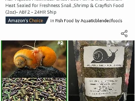 Nerite Snails - Feeding & Calcium Requirements?