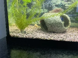 New aquarium