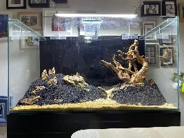 First time 3ft planted tank