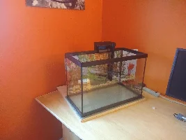 The life of a 20 gallon Quarantine Tank