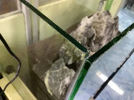Never buy a very large glass aquarium.