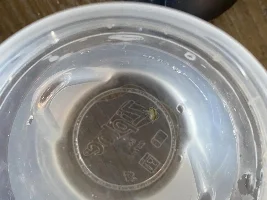 What is this????