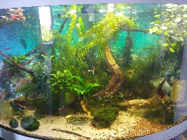 Fluval 407 for 350 litre tank?
